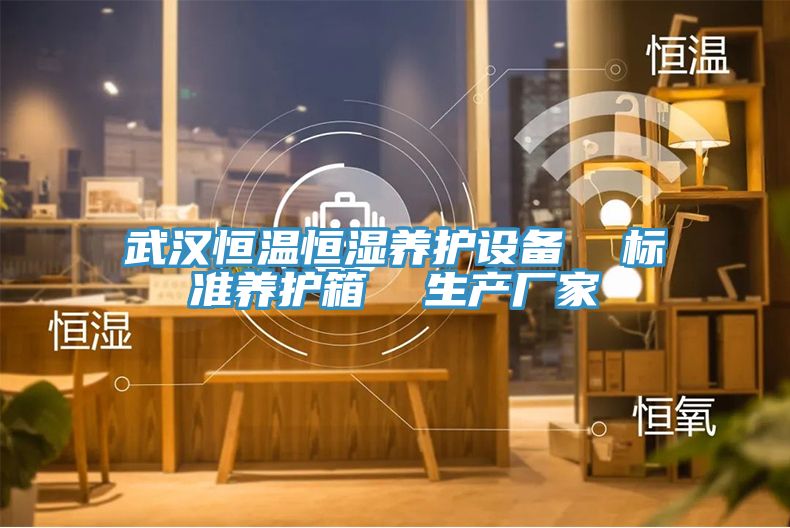 武漢恒溫恒濕養護設備  標準養護箱  生產廠家