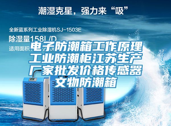 電子防潮箱工作原理工業防潮柜江蘇生產廠家批發價格傳感器文物防潮箱