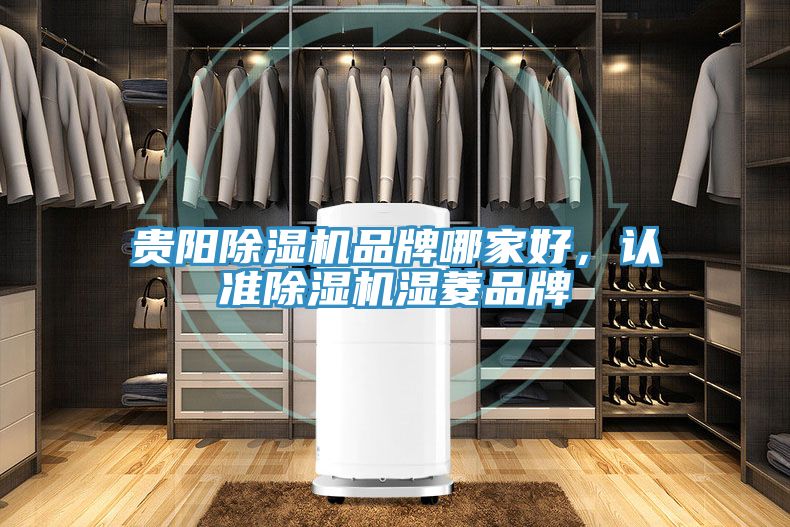貴陽除濕機品牌哪家好,認準除濕機濕菱品牌