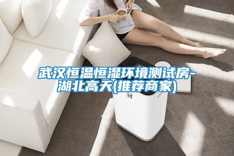 武漢恒溫恒濕環境測試房-湖北高天(推薦商家)