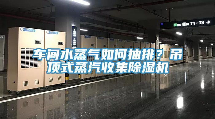 車間水蒸氣如何抽排？吊頂式蒸汽收集除濕機(jī)