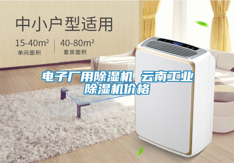 電子廠用除濕機 云南工業除濕機價格