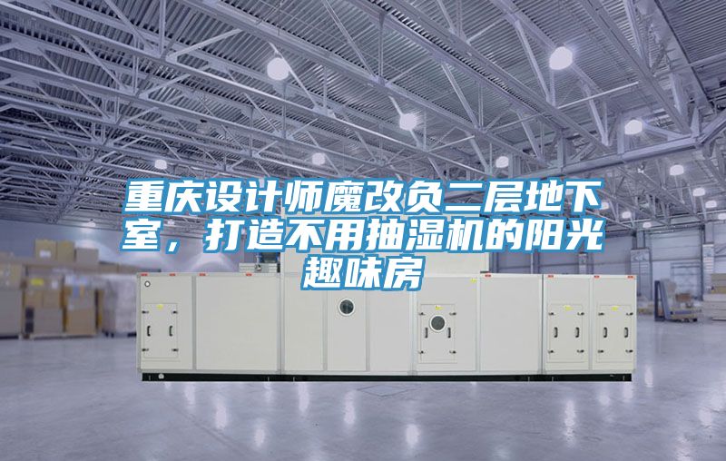 重慶設(shè)計(jì)師魔改負(fù)二層地下室，打造不用抽濕機(jī)的陽光趣味房