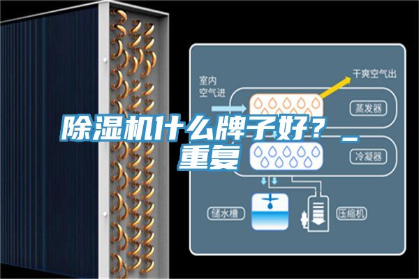 除濕機(jī)什么牌子好?_重復(fù)