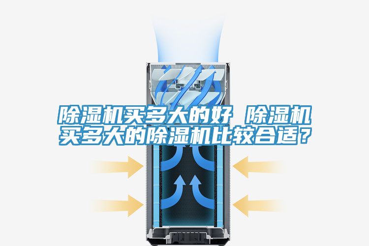 除濕機買多大的好 除濕機買多大的除濕機比較合適？