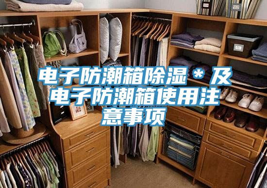 電子防潮箱除濕＊及電子防潮箱使用注意事項(xiàng)