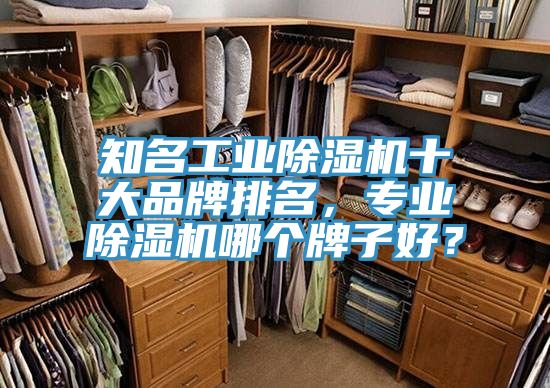 知名工業(yè)除濕機(jī)十大品牌排名，專業(yè)除濕機(jī)哪個(gè)牌子好？