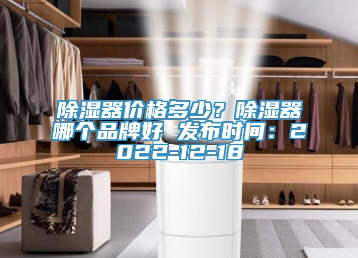除濕器價格多少?除濕器哪個品牌好 發布時間:2022-12-18