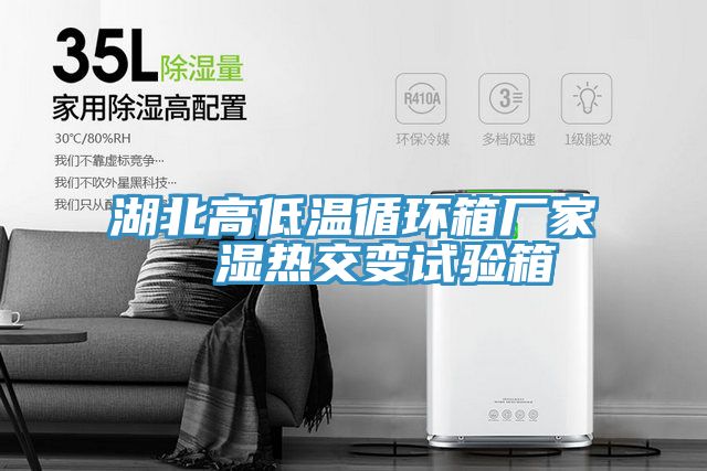 湖北高低溫循環(huán)箱廠家  濕熱交變試驗(yàn)箱