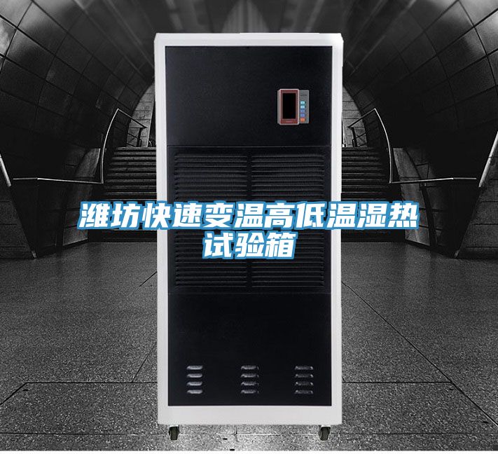 濰坊快速變溫高低溫濕熱試驗(yàn)箱