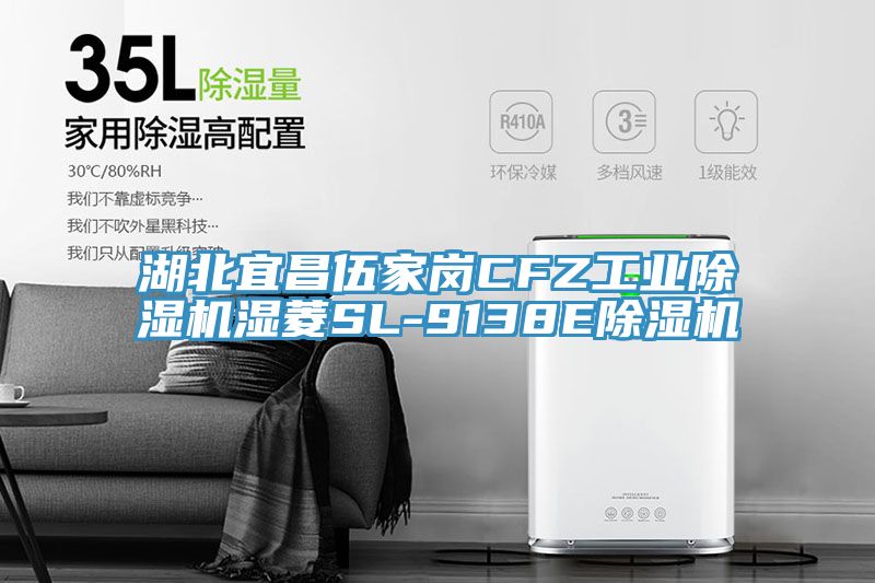 湖北宜昌伍家崗CFZ工業(yè)除濕機(jī)濕菱SL-9138E除濕機(jī)