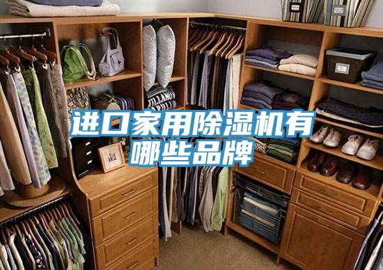 進(jìn)口家用除濕機(jī)有哪些品牌