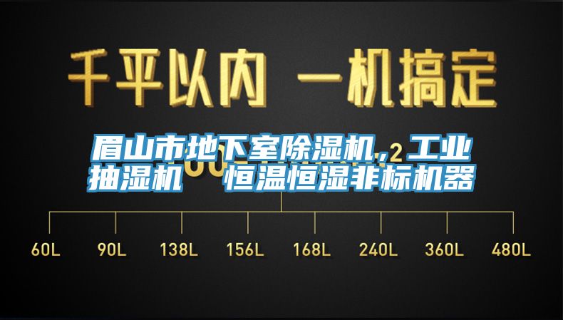 眉山市地下室除濕機(jī)，工業(yè)抽濕機(jī)  恒溫恒濕非標(biāo)機(jī)器