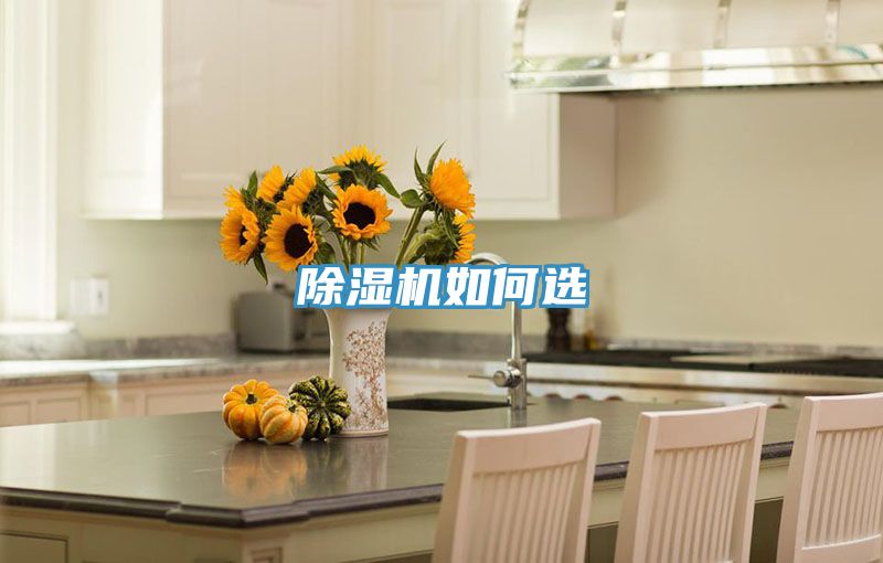 除濕機如何選
