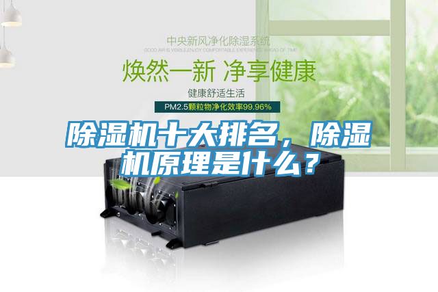 除濕機十大排名，除濕機原理是什么？