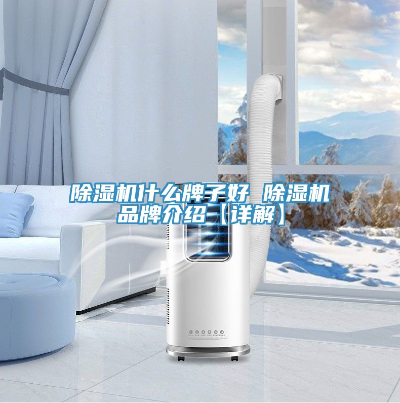 除濕機什么牌子好 除濕機品牌介紹【詳解】