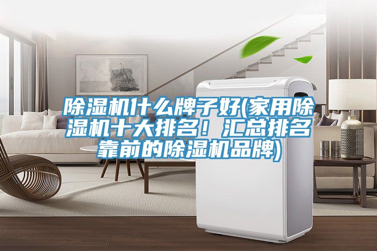 除濕機什么牌子好(家用除濕機十大排名!匯總排名靠前的除濕機品牌)