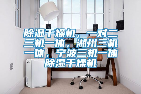 除濕干燥機，一對二三機一體，湖州三機一體，寧波三機一體除濕干燥機