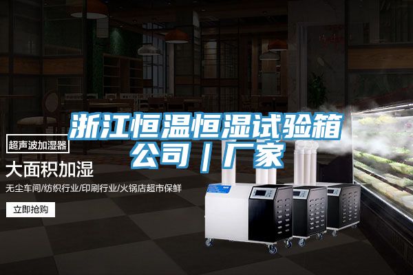 浙江恒溫恒濕試驗箱公司|廠家