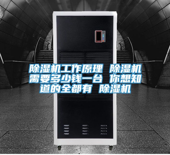 除濕機(jī)工作原理 除濕機(jī)需要多少錢(qián)一臺(tái) 你想知道的全都有 除濕機(jī)
