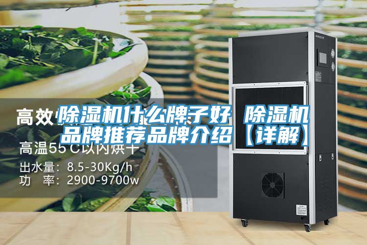 除濕機什么牌子好 除濕機品牌推薦品牌介紹【詳解】
