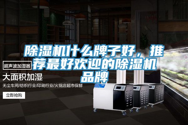除濕機什么牌子好,推薦最好歡迎的除濕機品牌