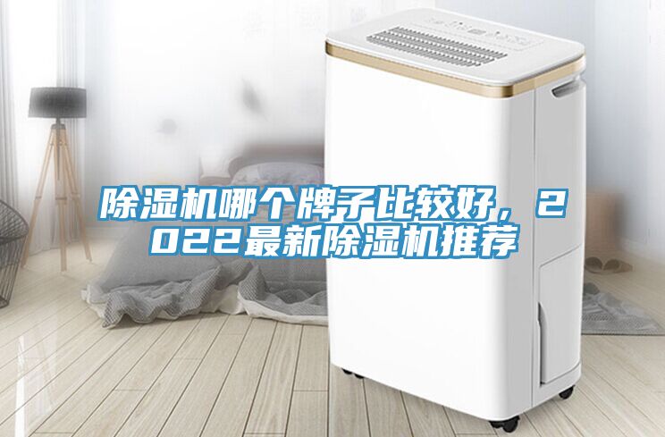 除濕機哪個牌子比較好，2022最新除濕機推薦