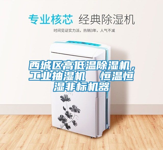 西城區高低溫除濕機,工業抽濕機 恒溫恒濕非標機器