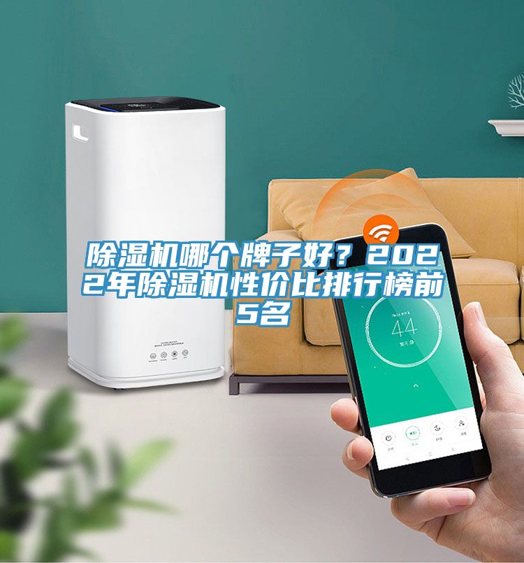 除濕機哪個牌子好？2022年除濕機性價比排行榜前5名