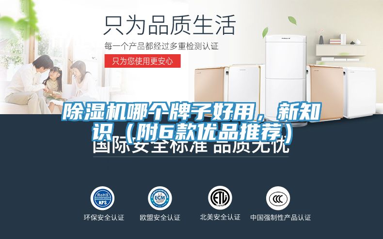 除濕機(jī)哪個牌子好用，新知識（附6款優(yōu)品推薦）