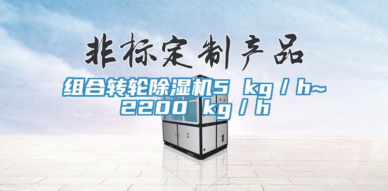 組合轉(zhuǎn)輪除濕機5 kg／h~2200 kg／h