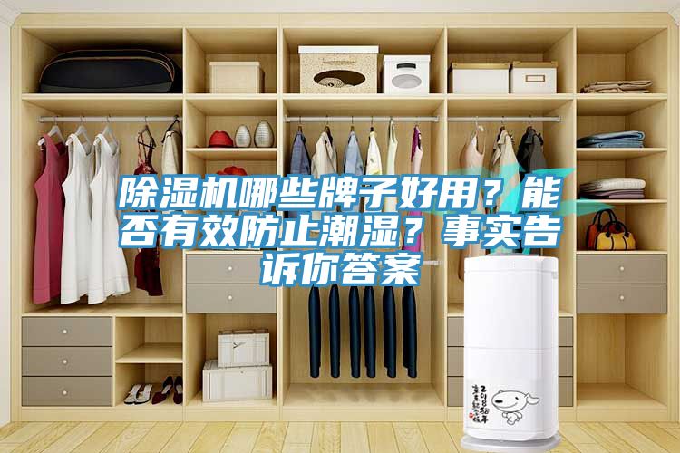 除濕機哪些牌子好用？能否有效防止潮濕？事實告訴你答案