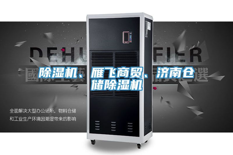 除濕機(jī)、雁飛商貿(mào)、濟(jì)南倉(cāng)儲(chǔ)除濕機(jī)