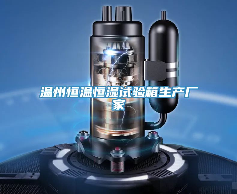 溫州恒溫恒濕試驗(yàn)箱生產(chǎn)廠家