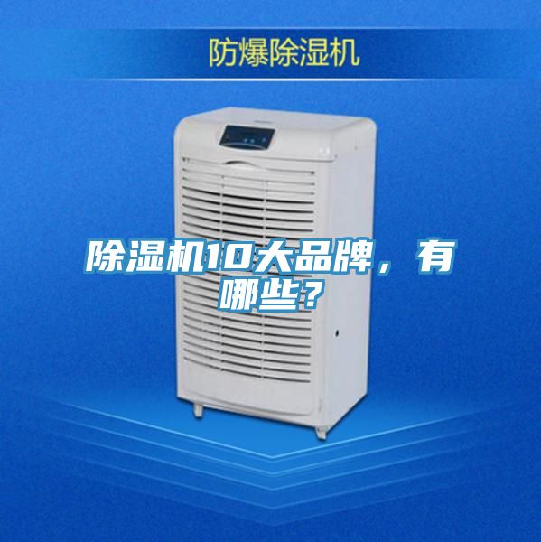 除濕機10大品牌,有哪些?