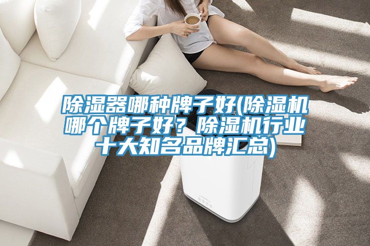 除濕器哪種牌子好(除濕機哪個牌子好？除濕機行業十大知名品牌匯總)