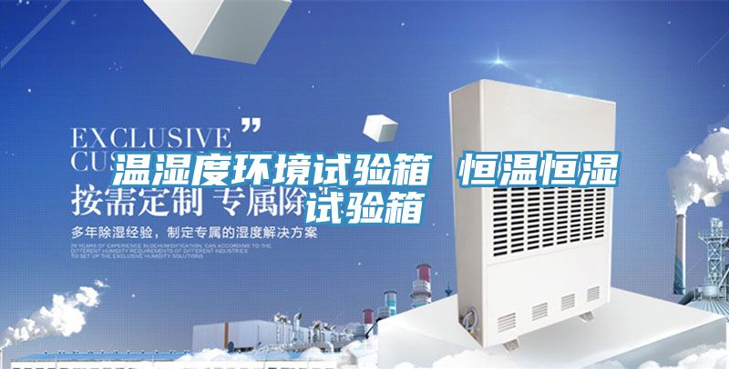 溫濕度環(huán)境試驗(yàn)箱 恒溫恒濕試驗(yàn)箱