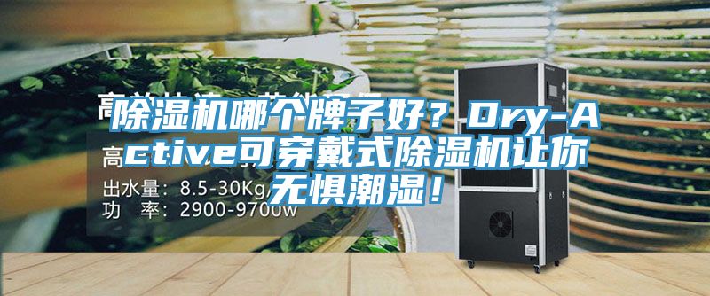 除濕機哪個牌子好？Dry-Active可穿戴式除濕機讓你無懼潮濕！