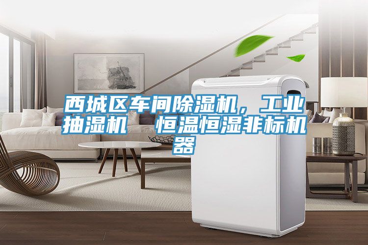西城區車間除濕機,工業抽濕機 恒溫恒濕非標機器