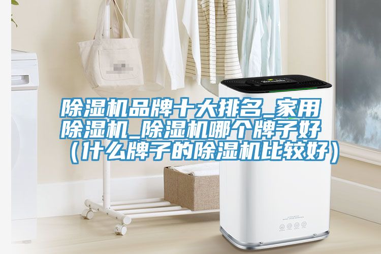 除濕機品牌十大排名_家用除濕機_除濕機哪個牌子好(什么牌子的除濕機比較好)