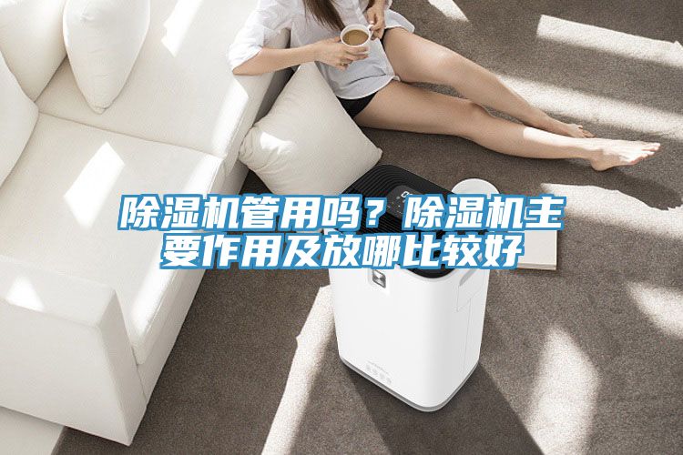 除濕機管用嗎?除濕機主要作用及放哪比較好