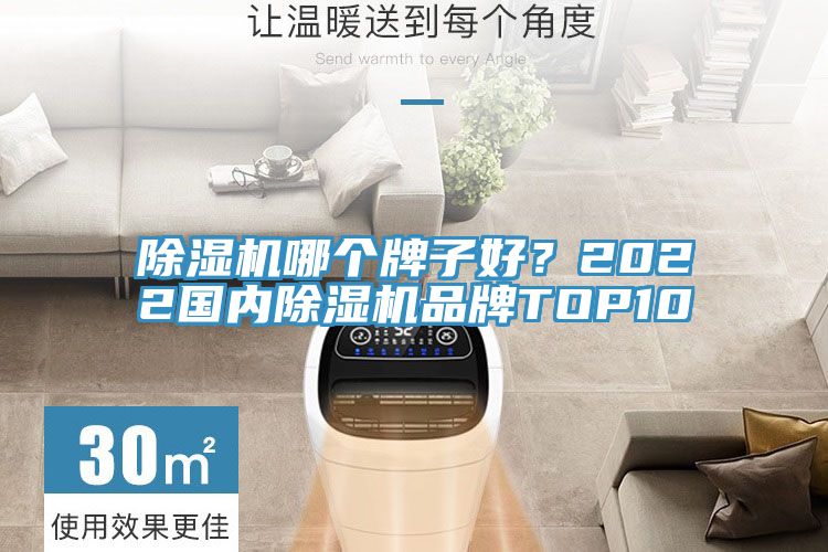 除濕機哪個牌子好？2022國內除濕機品牌TOP10