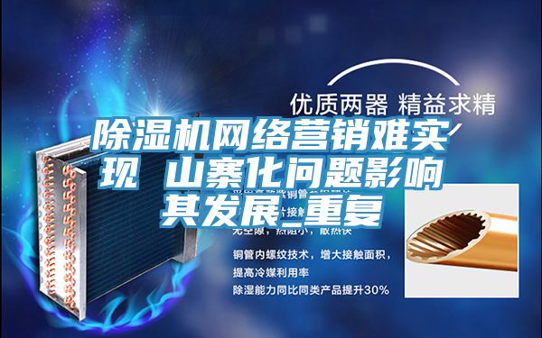 除濕機網絡營銷難實現 山寨化問題影響其發展_重復