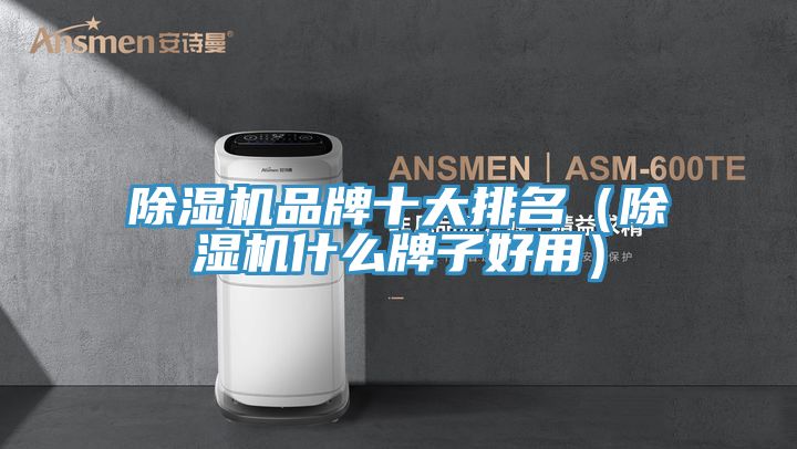 除濕機(jī)品牌十大排名(除濕機(jī)什么牌子好用)