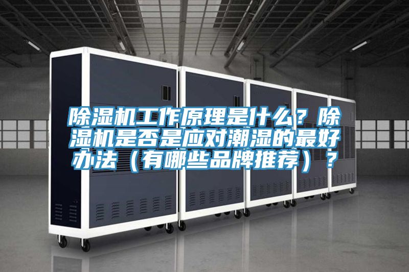 除濕機工作原理是什么？除濕機是否是應對潮濕的最好辦法（有哪些品牌推薦）？