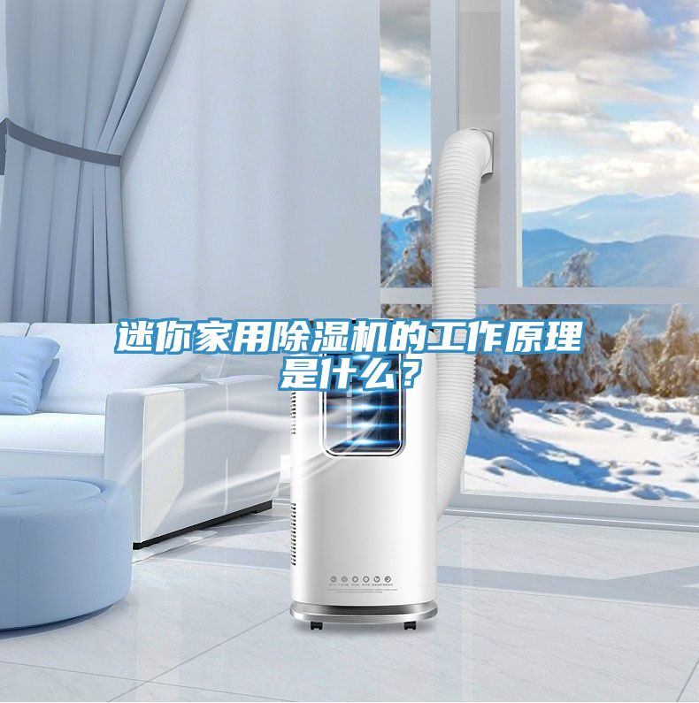 迷你家用除濕機的工作原理是什么？