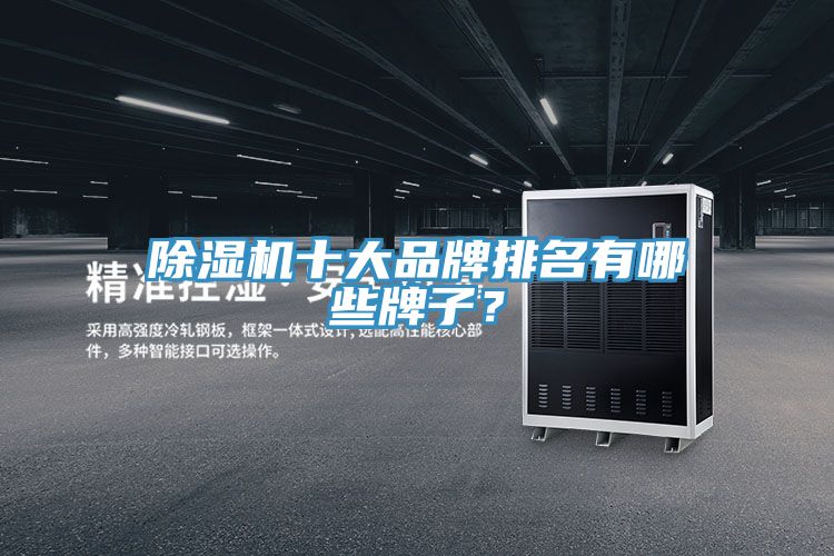 除濕機十大品牌排名有哪些牌子?