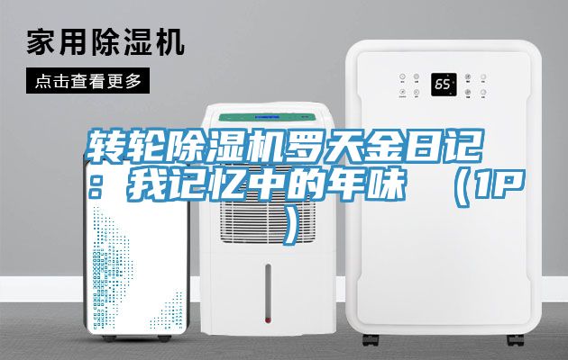 轉輪除濕機羅天金日記:我記憶中的年味 (1P)