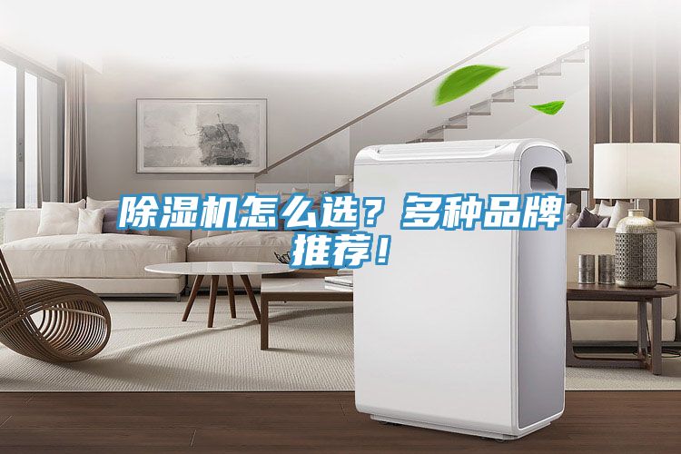 除濕機怎么選？多種品牌推薦！