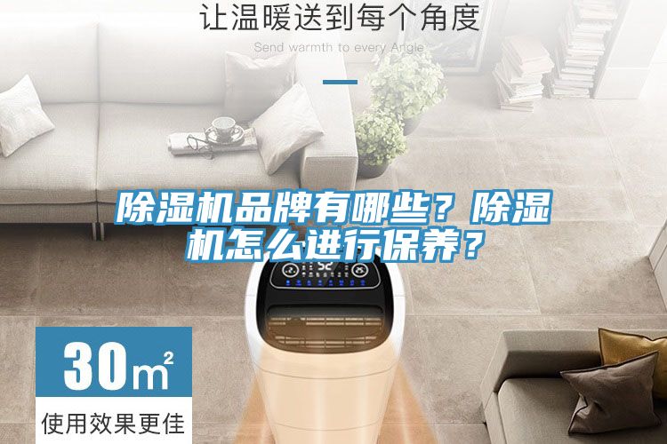 除濕機品牌有哪些?除濕機怎么進行保養?